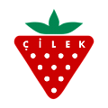 Cilek